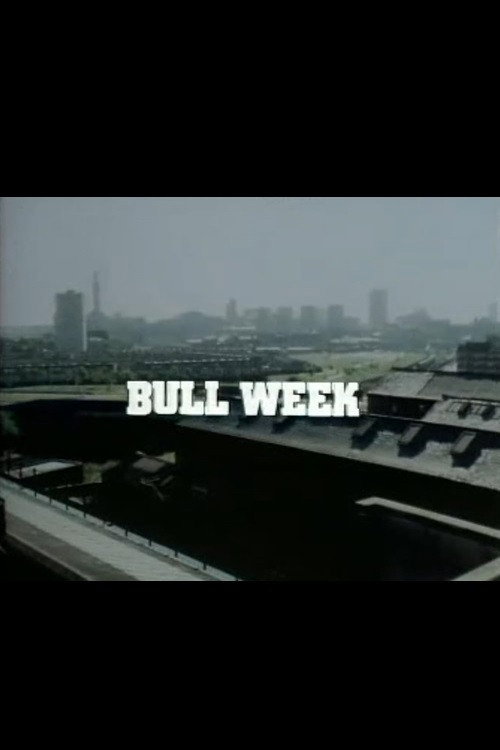 Póster de Bull Week