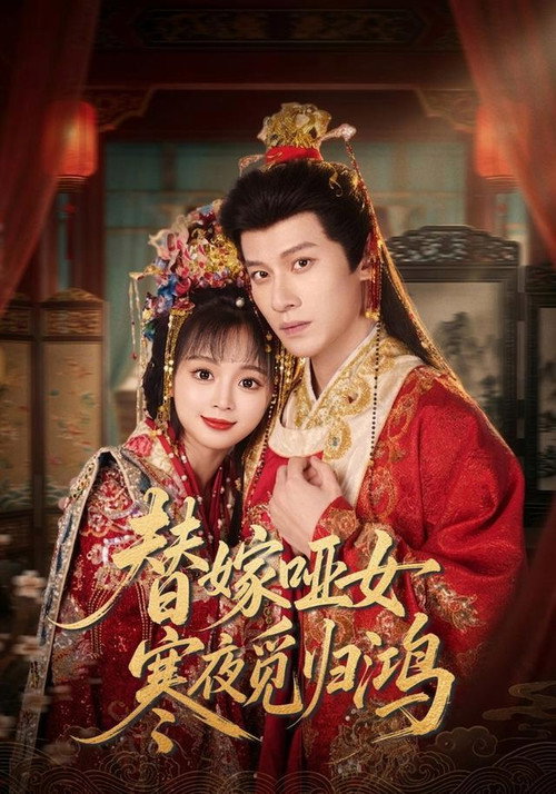 Póster de 替嫁哑女寒夜觅归鸿