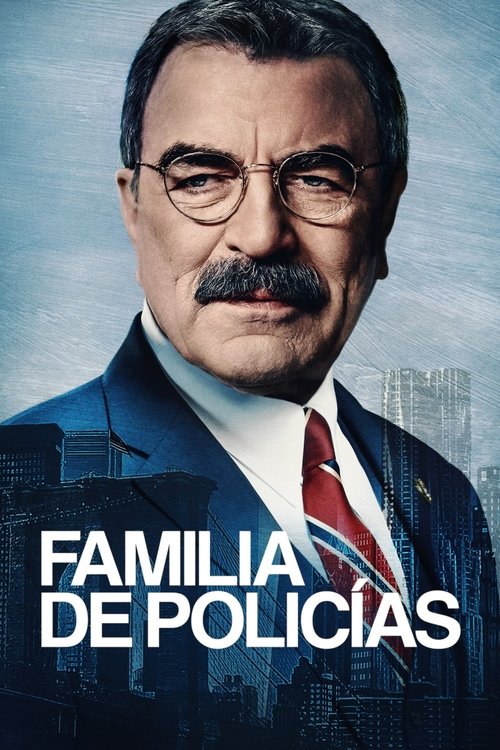 Póster de Códigos de familia