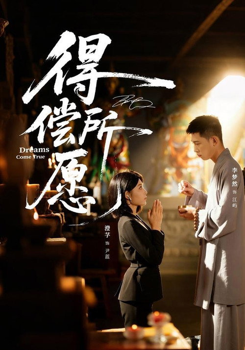 Póster de 得偿所愿