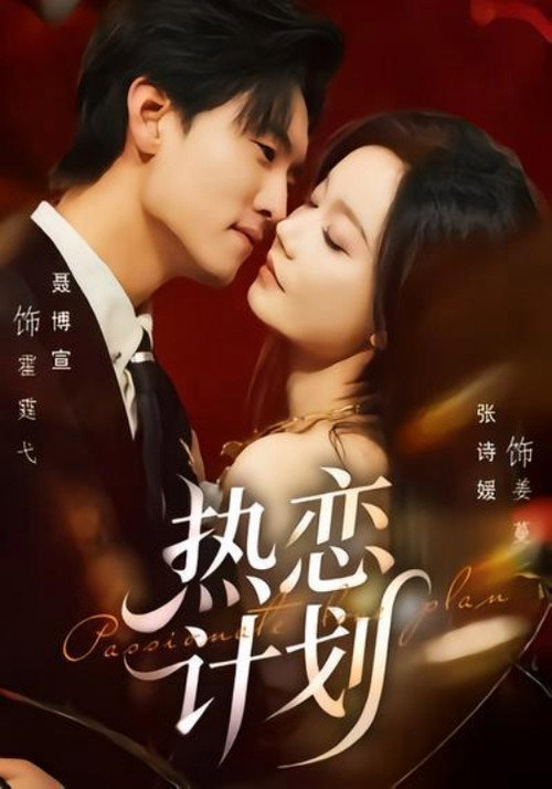 Póster de 热恋计划