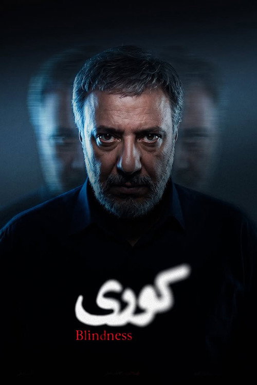 Póster de Blindness