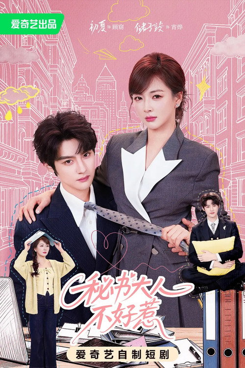 Póster de 秘书大人不好惹