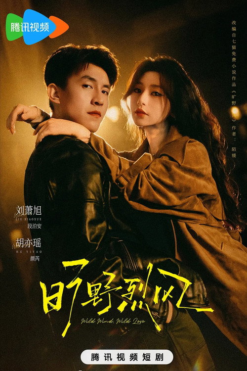 Póster de 旷野烈风