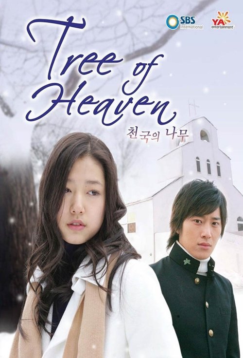 Póster de 천국의 나무