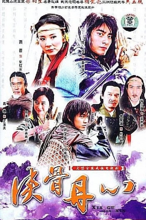 Póster de 侠骨丹心