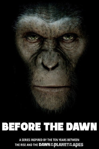Póster de Before the Dawn