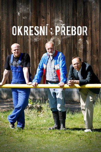 Póster de Okresní přebor