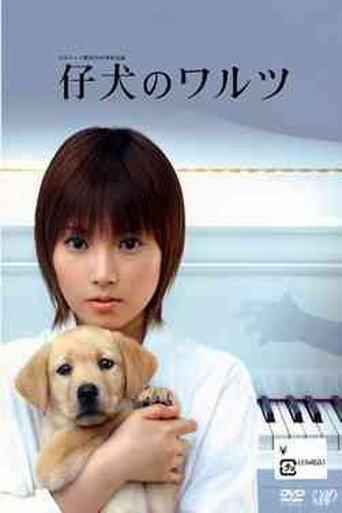 Póster de Waltz of Her Heart