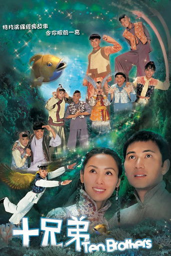 Póster de 十兄弟
