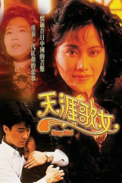 Póster de 天涯歌女