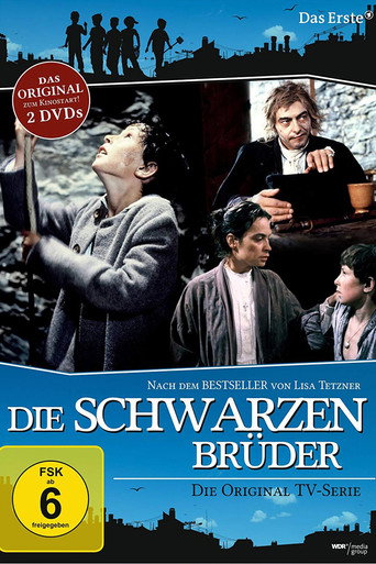 Póster de Die schwarzen Brüder