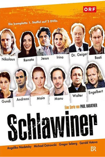 Póster de Schlawiner