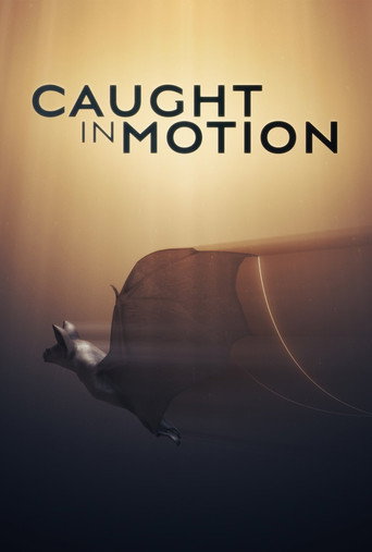 Póster de Caught in Motion