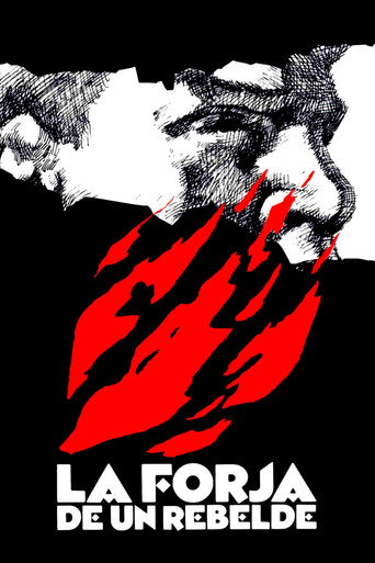 Póster de La forja de un rebelde