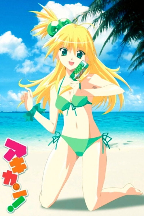 Póster de アキカン!