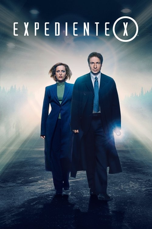 Póster de Los Expedientes Secretos X
