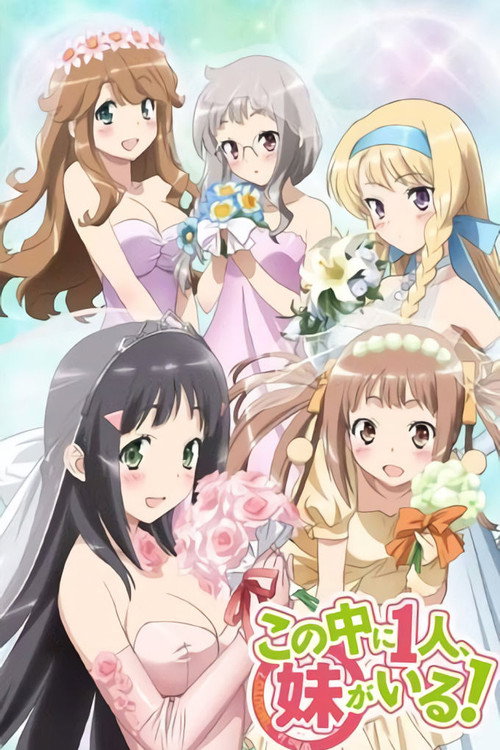 Póster de Kono Naka ni Hitori, Imouto ga Iru!