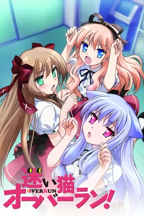 Póster de 迷い猫オーバーラン!