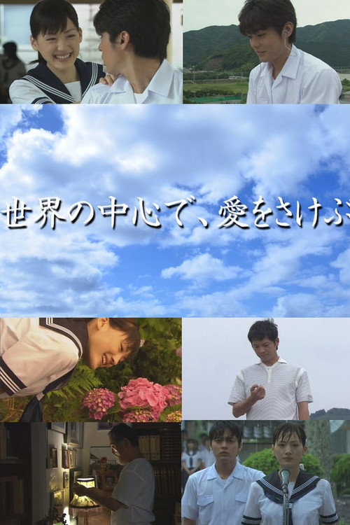 Póster de 世界の中心で、愛をさけぶ