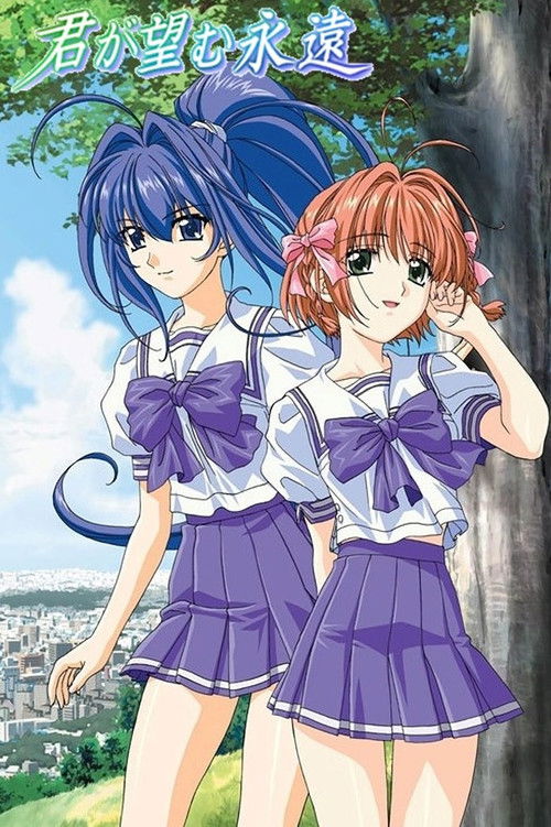 Póster de 君が望む永遠