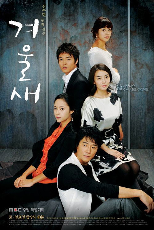 Póster de 겨울새