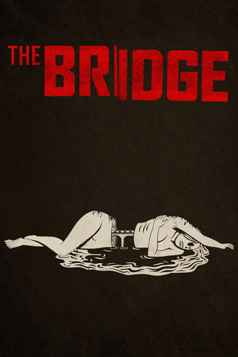 Póster de The Bridge