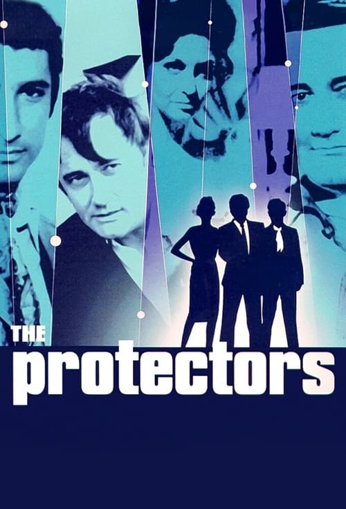 Póster de The Protectors