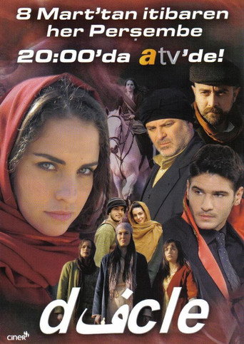 Póster de Dicle