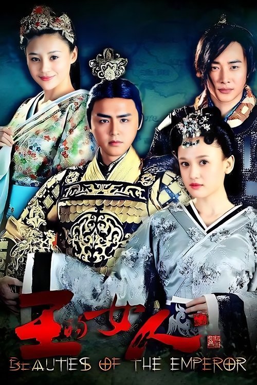 Póster de 王的女人
