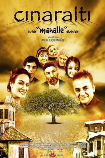 Póster de Çınaraltı