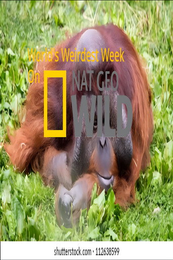 Póster de World's Weirdest Week