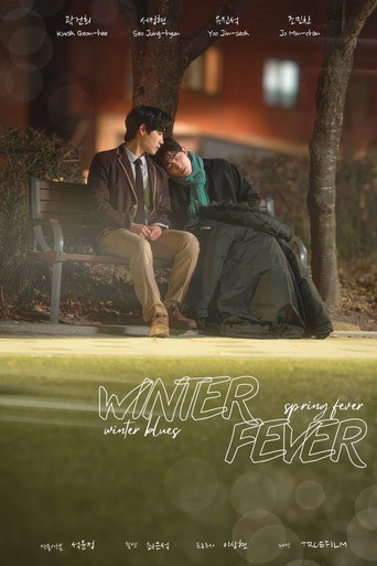 Póster de Winter Fever