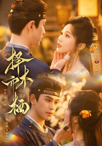 Póster de 择木而栖