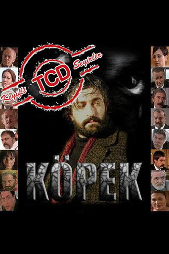 Póster de Köpek