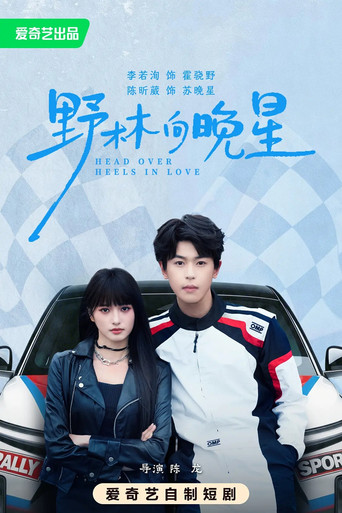 Póster de 野林向晚星
