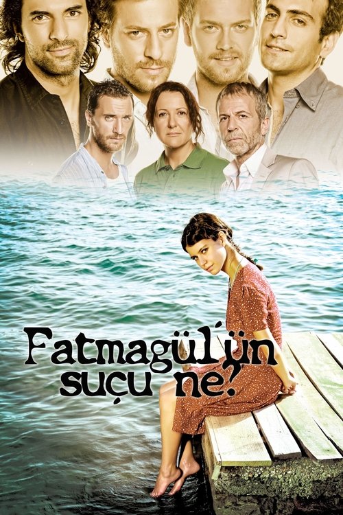 Póster de Fatmagul