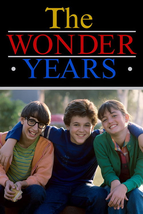 Póster de Los años maravillosos