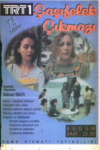 Póster de Şaşıfelek Çıkmazı
