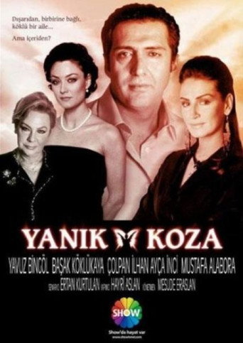 Póster de Yanık Koza