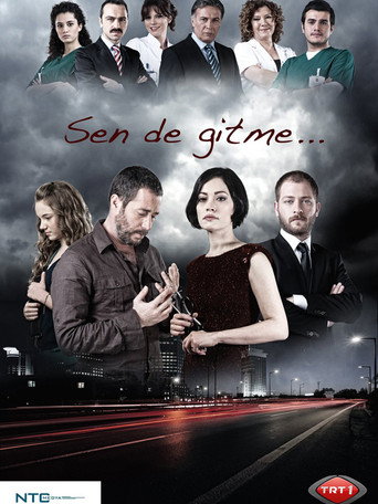 Póster de Sen de Gitme