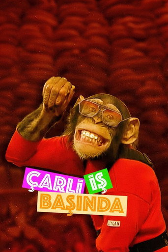 Póster de Çarli İş Başında
