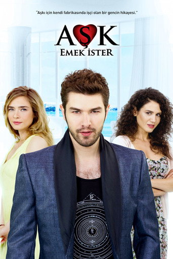 Póster de Aşk Emek İster
