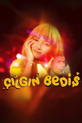 Póster de Çılgın Bediş