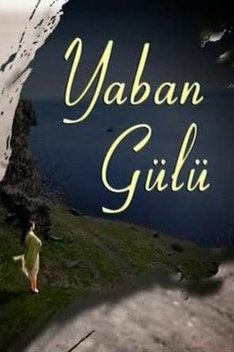 Póster de Yaban Gülü