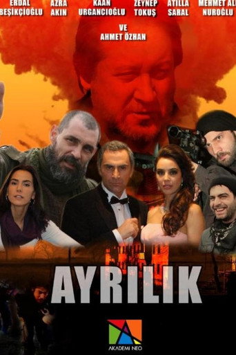 Póster de Ayrılık