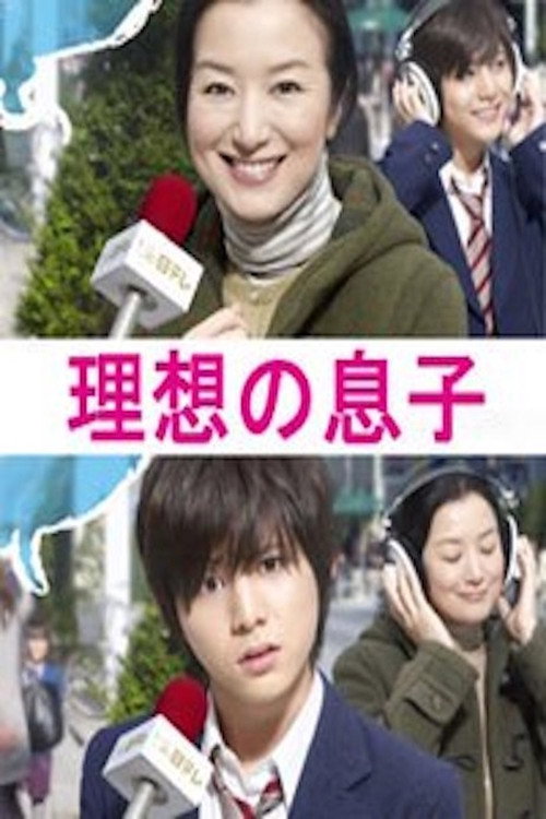 Póster de 理想の息子