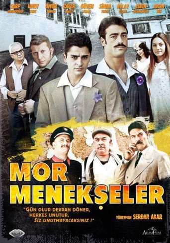 Póster de Mor Menekşeler