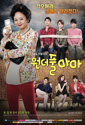 Póster de 원더풀 마마