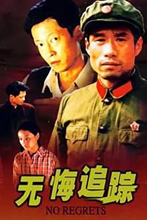 Póster de 无悔追踪